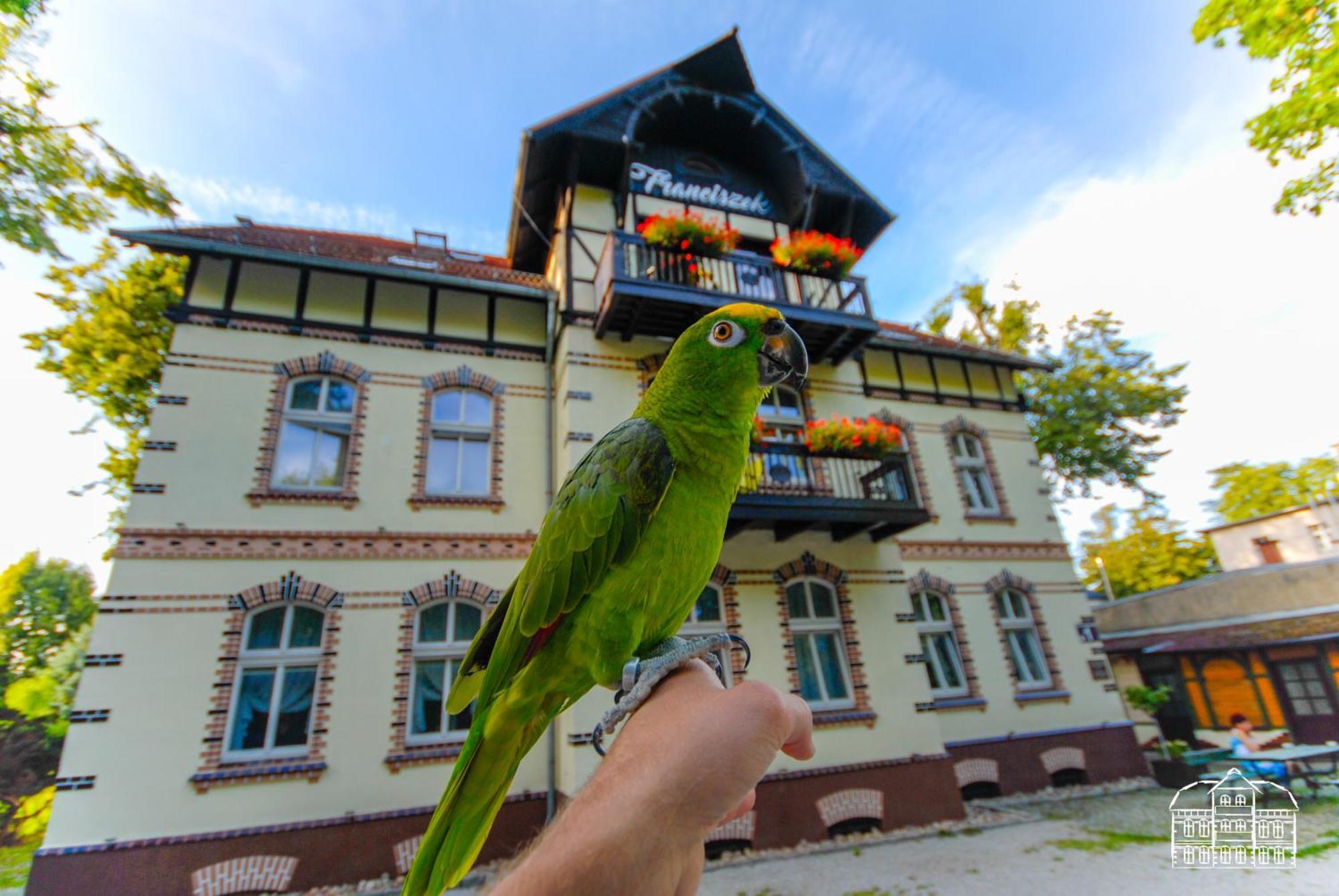 Franciszek Przy Parku Szwedzkim Apartamento Szczawno-Zdroj Exterior foto